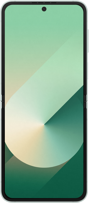 Samsung Galaxy Flip 6 F741B 12/256GB Mint (SM-F741BLGGSEK) фото