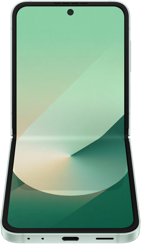 Samsung Galaxy Flip 6 F741B 12/256GB Mint (SM-F741BLGGSEK) фото