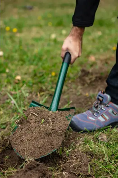 Лопата штикова Verto, 120см, 2кг (15G010-1) - фото - №5