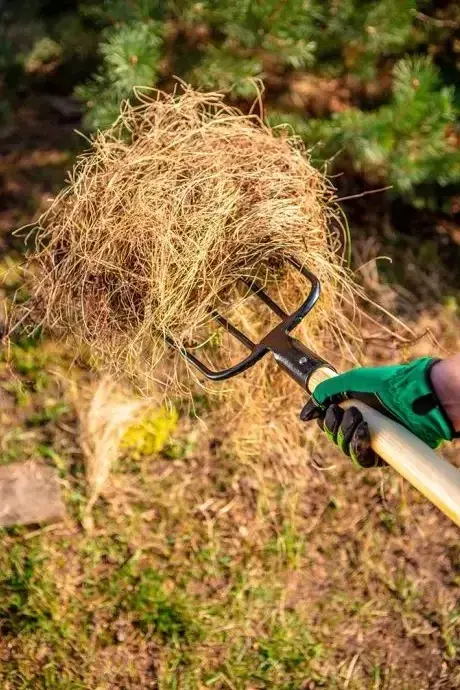Вила Verto, руків'я дерев'яне D-подібне, 126.5см, 1.42кг (15G040) - фото - №3