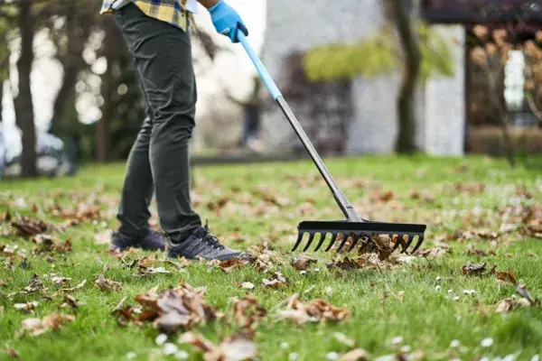 Граблі універсальні Cellfast IPRO, 12 зубців, ширина 41.2см, 168см, 0.8кг (40-211) - фото - №4