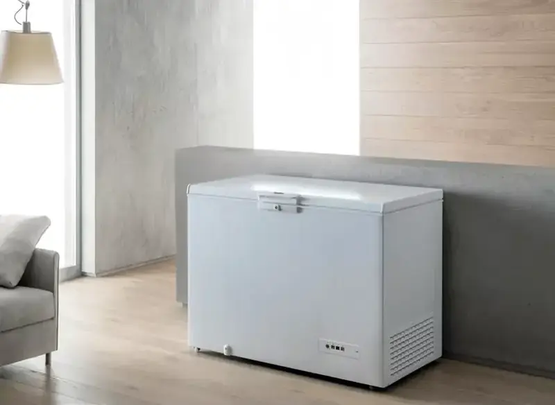 Морозильный ларь Whirlpool WHM3911 1 фото