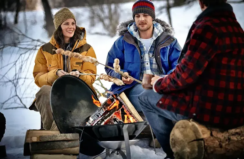 Осередок Weber (2750) - фото - №4