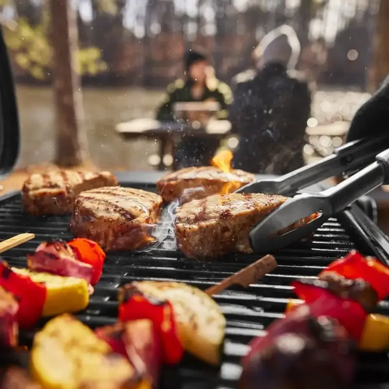 Газовий гриль Weber Traveler Compact Portable 1500527 фото