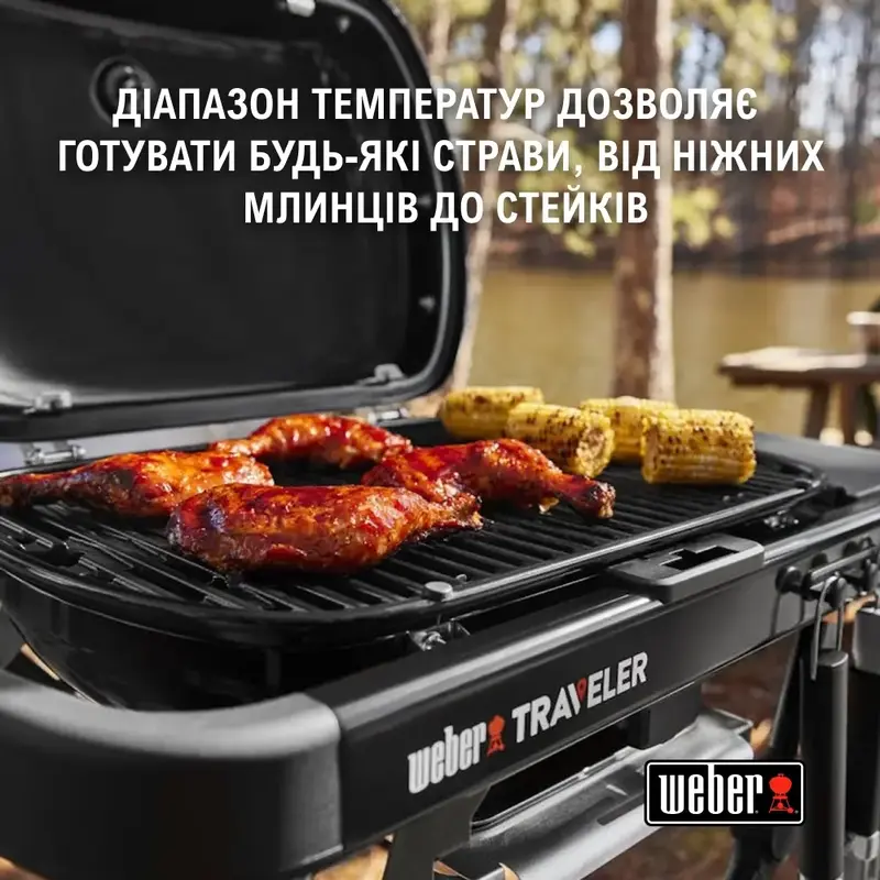 Газовий гриль Weber Traveler Compact Portable 1500527 фото