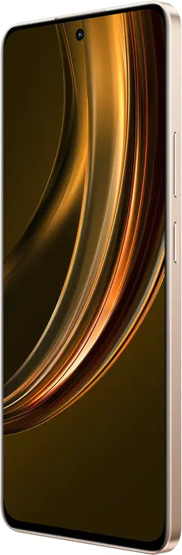 realme 13+ 5G 8/256GB (Victory Gold) фото