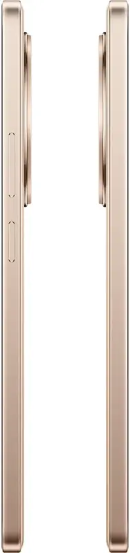 realme 13+ 5G 8/256GB (Victory Gold) фото
