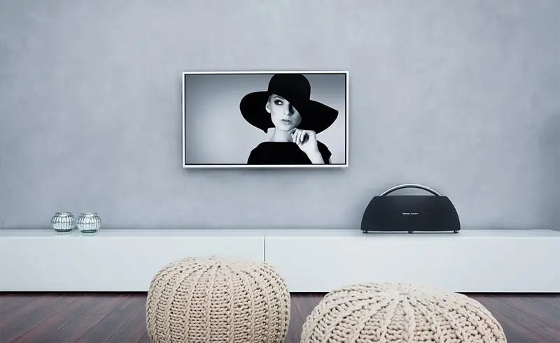 Акустика Harman Kardon GO+PLAY Mini (Black) фото