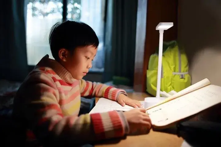 Лампа настольная с аккумулятором LEDVANCE Panan Fold 5.2Вт 4000K 1200мАч USB-A белый - фото - №4