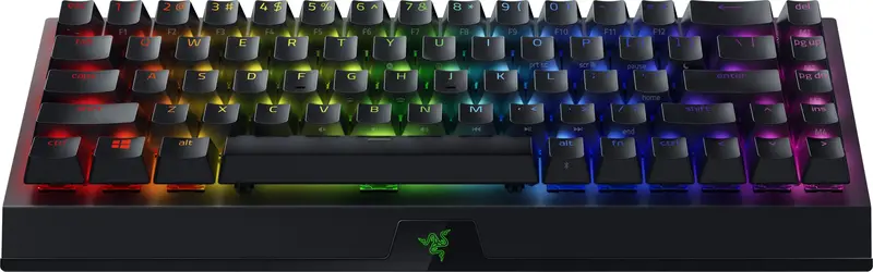 Игровая клавиатура Razer BlackWidow V3 Mini Hyperspeed Green Switch RU (RZ03-03891600-R3R1) фото