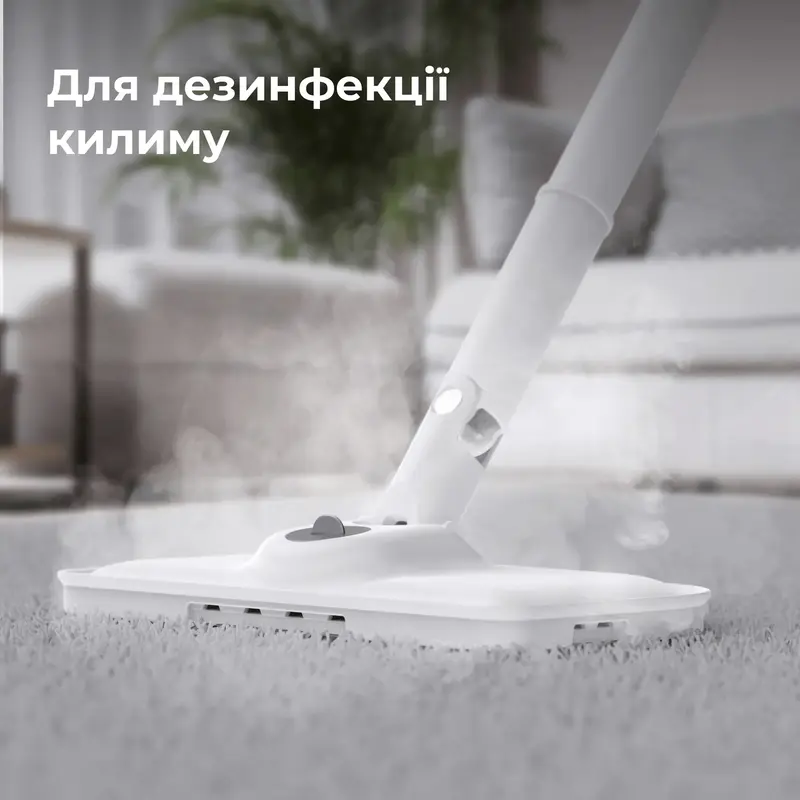 Пароочиститель AENO SM1(ASM0001) фото