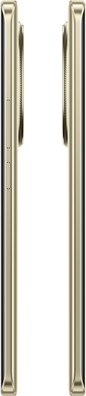 realme 13 Pro+ 5G 8/256GB (Monet Gold) фото