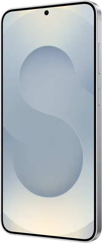 Samsung Galaxy S25 Plus S936B 12/256GB Silver Shadow (SM-S936BZSDEUC) фото