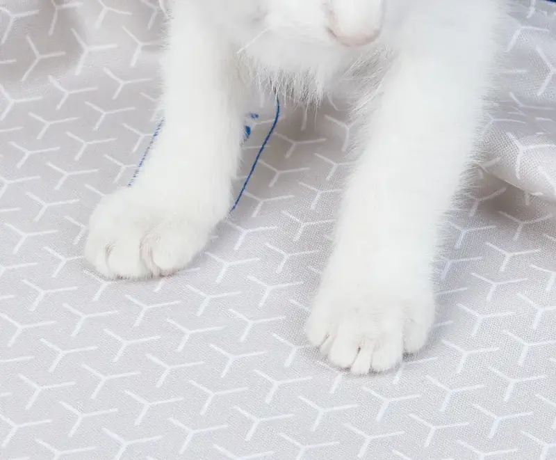 Змінна підкладка для наповнювача High Performance Cat Litter Pad Ultra P99035 фото