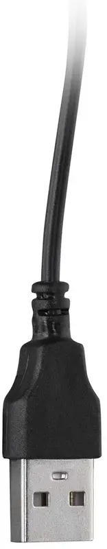 Акция Акустика 2E PCS234 (Black) фото