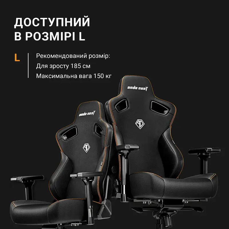 Ігрове крісло Anda Seat Kaiser 3 Size L (Black) AD12YDC-L-01-B-PV/C фото