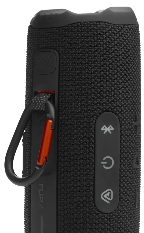 Акустика JBL Flip 7 Black фото