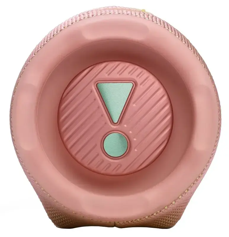 Акустика JBL Charge 6 Pink фото
