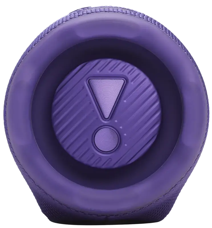 Акустика JBL Charge 6 Purple фото