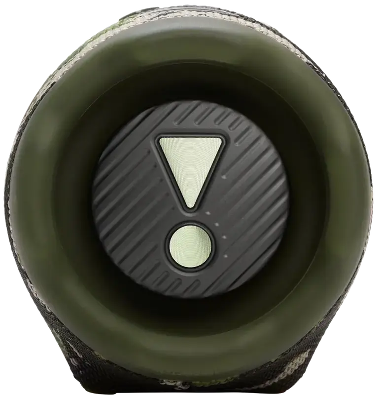 Акустика JBL Charge 6 Camouflage фото