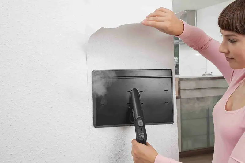 Насадка Karcher для видалення шпалер і залишків клею (2.863-062.0) - фото - №1