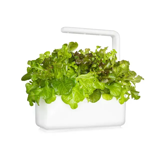 Змінний картридж Click&Grow Червоний дубовий салат - фото - №2