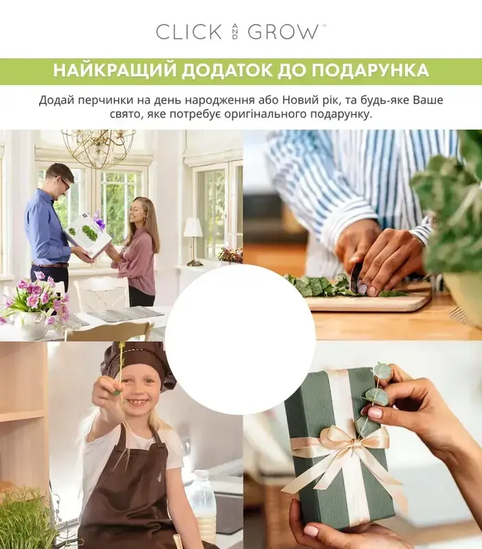 Змінний картридж Click&Grow Горошок - фото - №8