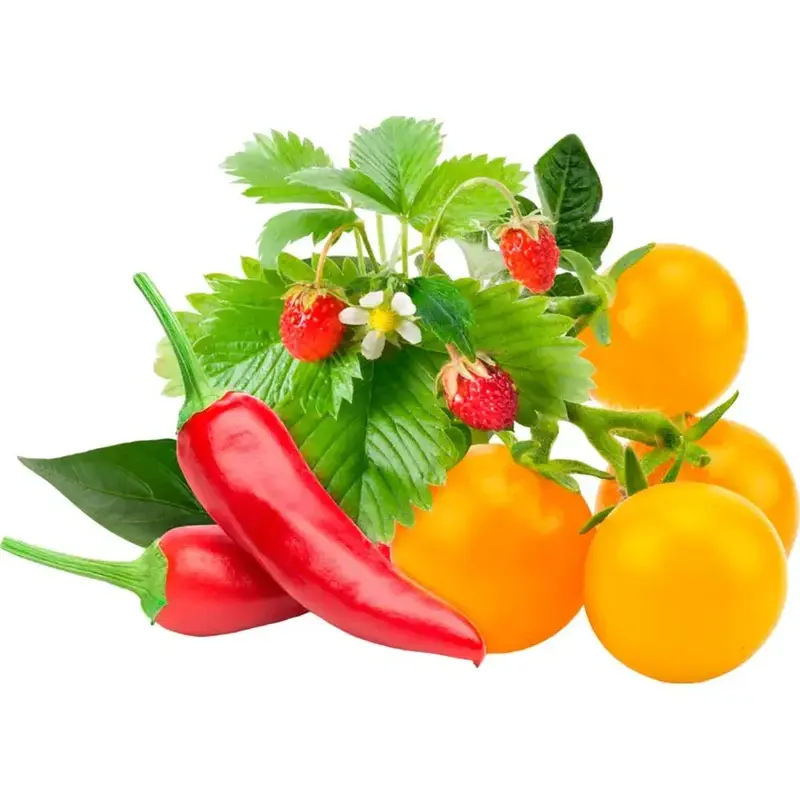 Сменный картридж Click&Grow Фрукты и овощи микс фото