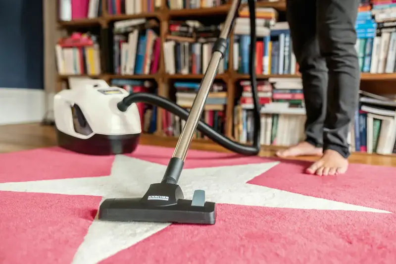 Пилосос Karcher миючий DS 6 Plus (1.195-252.0) - фото - №2