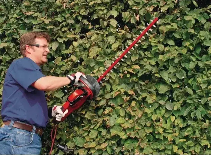 Кущоріз Einhell GE-EH 7067 700Вт - фото - №3