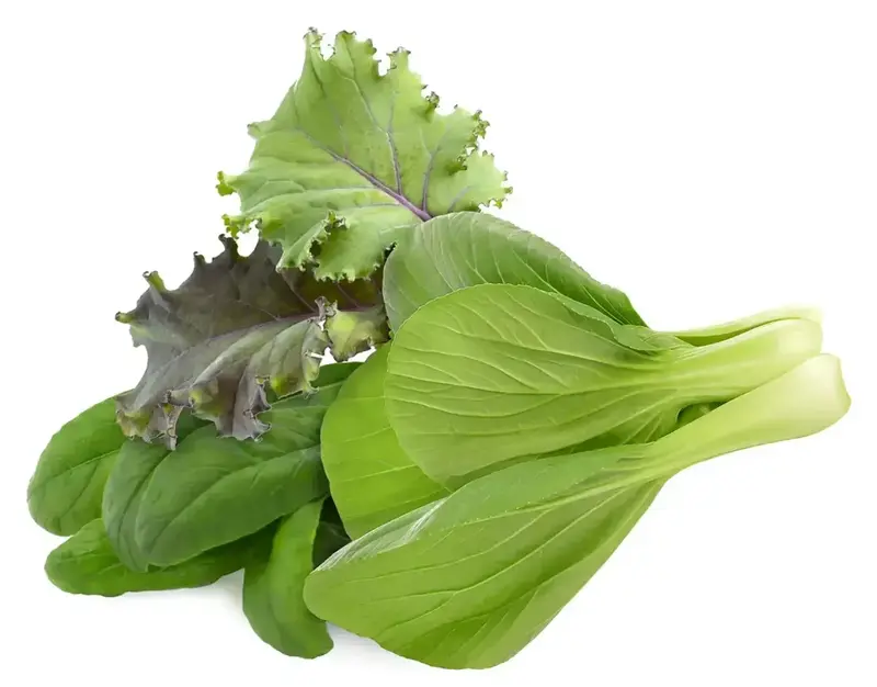 Змінний картридж Click and Grow Азіатська кухня мікс 2484 - фото - №1