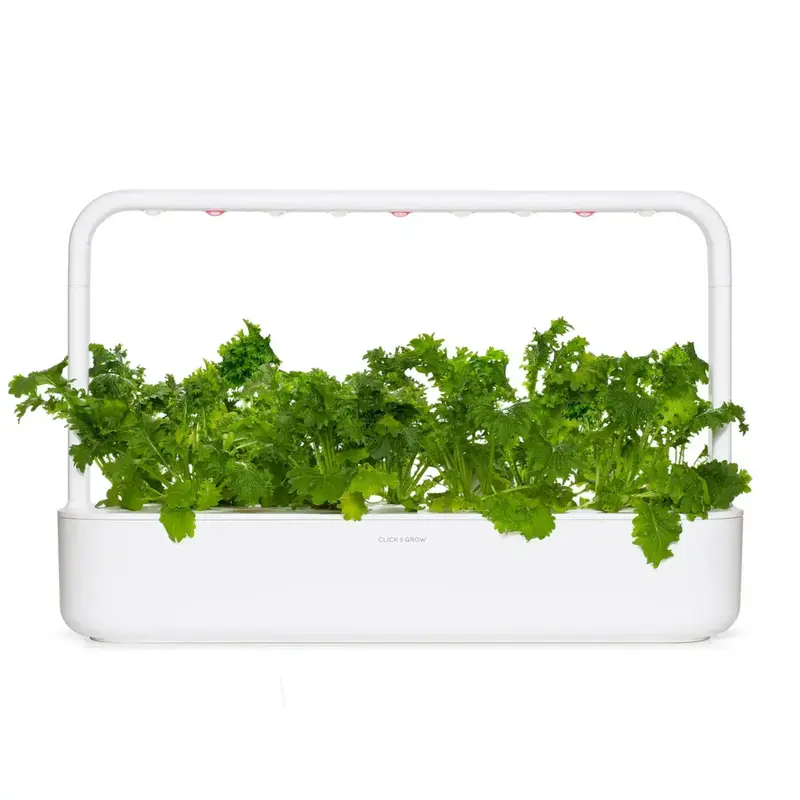 Змінний картридж Click and Grow Гірчиця васабі 2392 - фото - №4