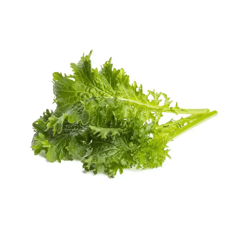 Змінний картридж Click and Grow Гірчиця васабі 2392 - фото - №1