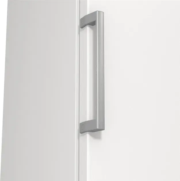 Морозильна камера Gorenje FN619EEW5 - фото - №8