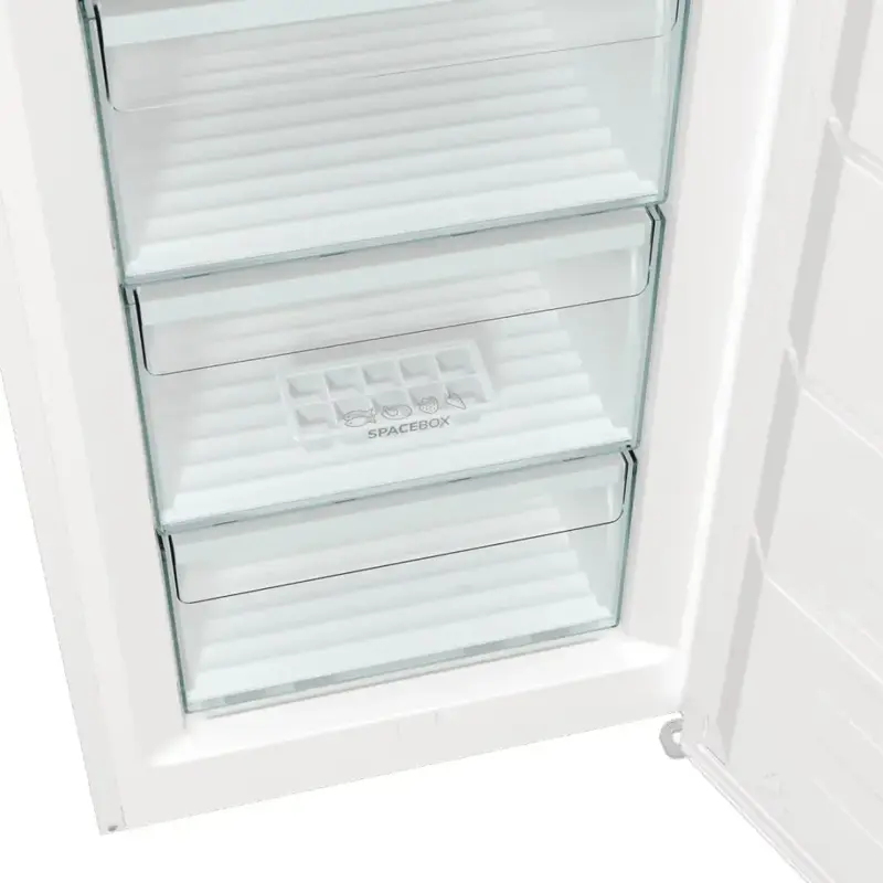 Морозильна камера Gorenje FN619FEW5 фото
