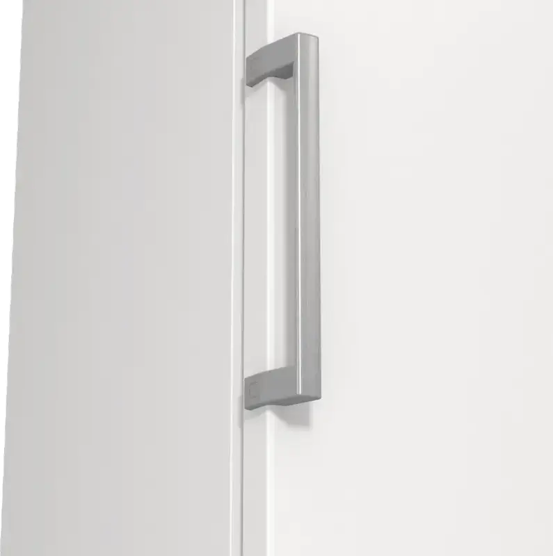Морозильна камера Gorenje FN619FEW5 фото