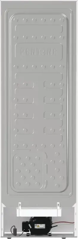 Морозильна камера Gorenje FN619FEW5 фото
