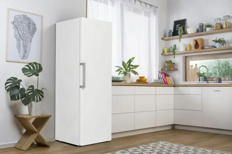 Морозильна камера Gorenje FN619FEW5 фото