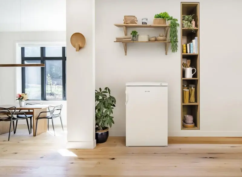 Морозильная камера Gorenje F49DPW фото