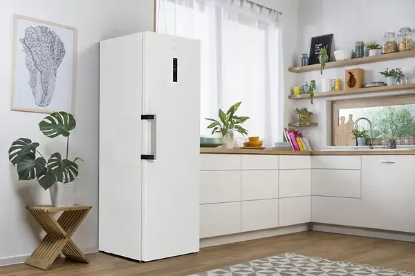 Морозильна камера Gorenje FN619EAW6 фото