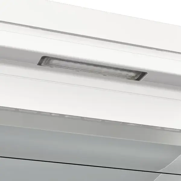 Морозильна камера Gorenje FN619EAW6 фото