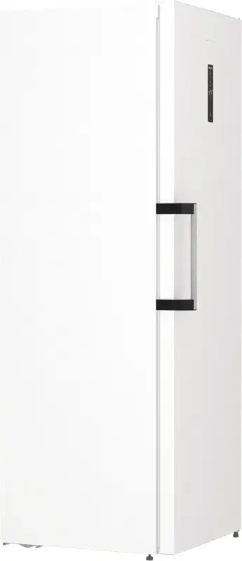 Морозильна камера Gorenje FN619EAW6 фото