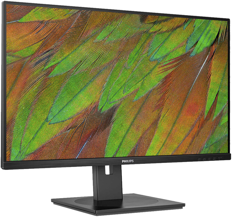 Монітор PHILIPS 31.5" 32B1N3800/00 - фото - №2