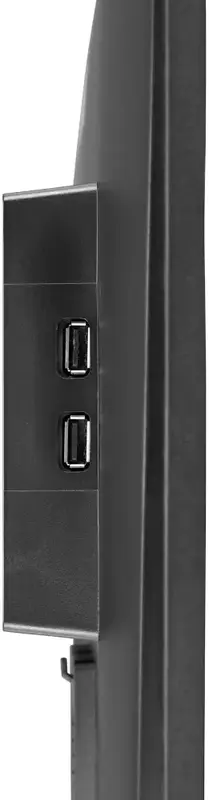 Монітор Iiyama 23.8" G2470HS-B1 - фото - №6