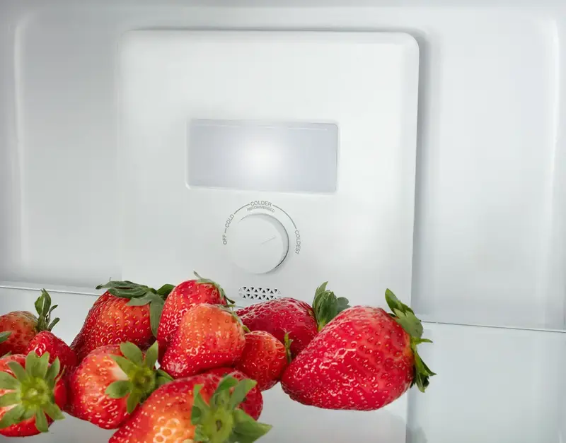 Холодильник MPM, MPM-254-FF-51/E - фото - №10