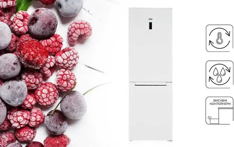 Холодильник MPM, MPM-357-FF-31W/AA - фото - №12