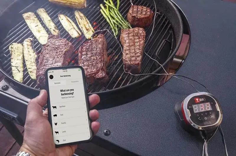 Термометр WEBER iGrill 2 з Bluetooth 7221 - фото - №3
