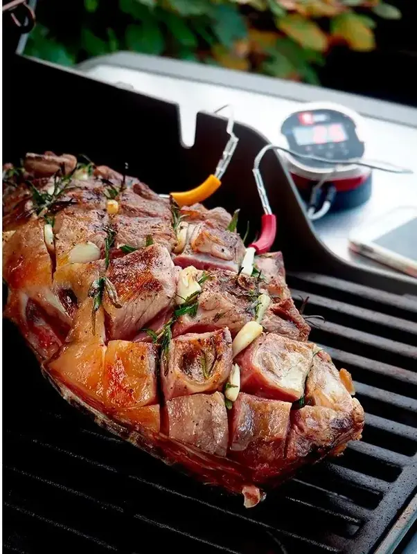 Термометр WEBER iGrill 2 з Bluetooth 7221 - фото - №2