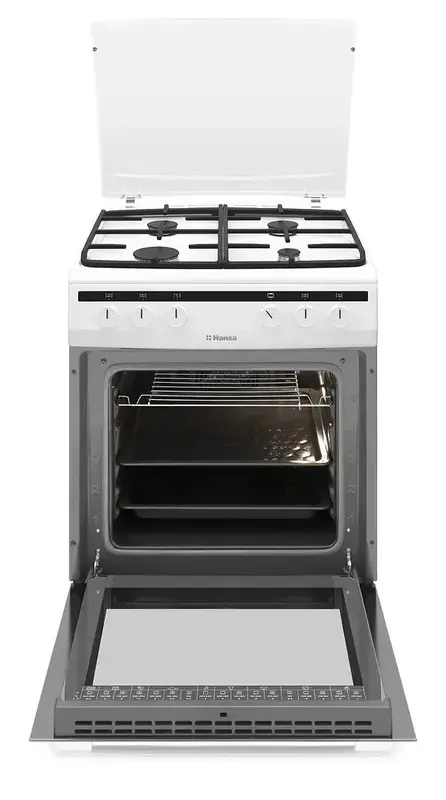 Плита комбінована HANSA FCMW 680451 фото