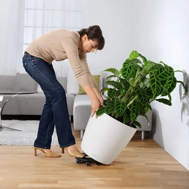 Вазон Lechuza CLASSICO Premium 60, All-in-One, d60xh56 білий 14560 - фото - №6